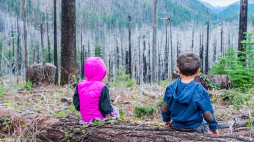 Ίδρυμα Χατζηγάκη: Νέα πνοή στο Δάσος της Δαδιάς με εθελοντές μαθητές και μαθήτριες της περιοχής