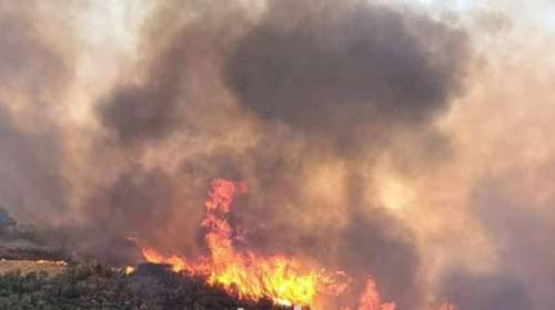 Φωτιά στην Ηλεία: Αγριεύουν οι φλόγες που κινούνται προς Λουκά και Καρυά - Φεύγουν οι κάτοικοι από τα Άγναντα [Βίντεο]