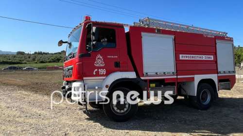 Πυρκαγιά στις Ροδιές Ηλείας