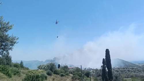 Συναγερμός στη Σάμο: Ξέσπασε φωτιά στους Μυτιληνιούς [βίντεο]