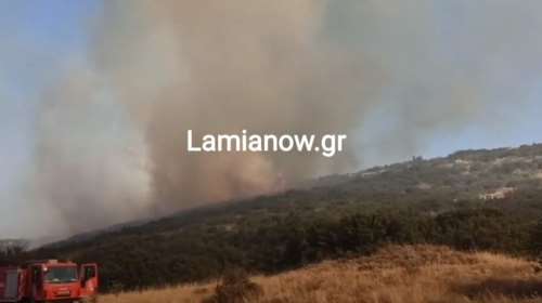 Φωτιά στη Λαμία: Σοβαρή αναζωπύρωση στο βόρειο μέρος της πόλης - Μήνυμα 112 για εκκένωση Αμφιθέας και Αχαρνών