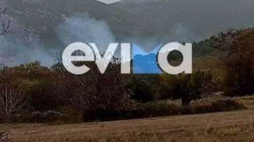 Φωτιά στην Εύβοια: Καίγονται καρυδιές και πλατάνια κοντά στο Αλιβέρι [εικόνες]