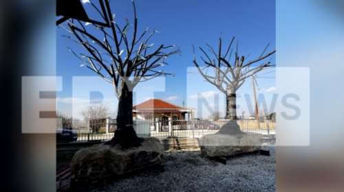 Οι πρώτες εικόνες από το μνημείο για τα θύματα των Τεμπών στη Θεσσαλονίκη: &quot;Τα δέντρα των ψυχών και της μνήμης&quot;