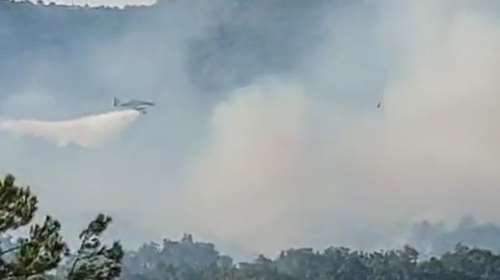 Φωτιά στην Αλεξανδρούπολη: Δύσκολη νύχτα με ισχυρούς ανέμους - Στη μάχη και τα εναέρια μέσα [εικόνες-βίντεο]