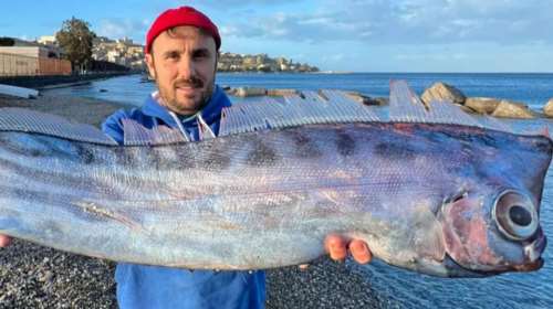 Σικελία: Σπάνιο ψάρι των 1.000 μέτρων βάθους ξεβράστηκε σε παραλία στο Μιλάτσο - Θα εκτεθεί σε Μουσείο