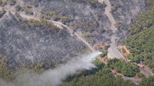 Χωρίς ενεργές εστίες η φωτιά στο Βουπράσιο Αχαΐας: Ολονύκτια μάχη να μην επεκταθεί στο δάσος της Στροφυλιάς
