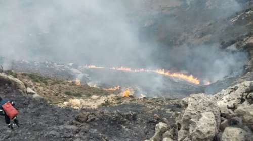 Υπό πλήρη έλεγχο η πυρκαγιά στο Οροπέδιο Λασιθίου - Κάηκαν 200 στρέμματα δασικής έκτασης