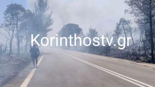 Φωτιά στο Σοφικό Κορινθίας: Πυροσβέστης έπαθε καρδιακό επεισόδιο - Ολονύχτια μάχη με τις φλόγες