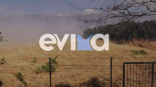 Φωτιά στην Εύβοια: Υπό έλεγχο η πυρκαγιά στην Κάρυστο