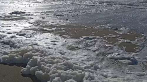 Αφροί σε παραλία της Κρήτης: Το εντυπωσιακό φαινόμενο "Capuccino coast"