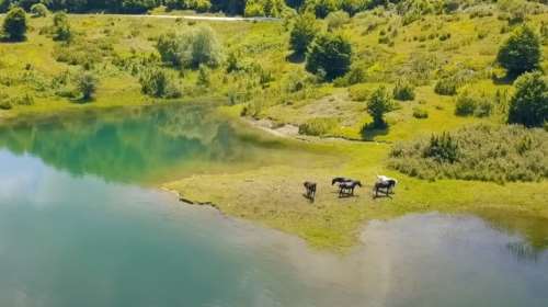 Θρίλερ στα Γιάννενα: Αγνοείται 16χρονος που έκανε βουτιά στη λίμνη Αώου μπροστά σε φίλους του