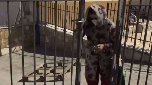 Βοιωτία: Για 1.400 ευρώ τον μήνα η 62χρονη κρατούσε θαμμένη τη μητέρα της στον στάβλο - Οι Αρχές δεν πιστεύουν ότι πέθανε πριν 2 χρόνια