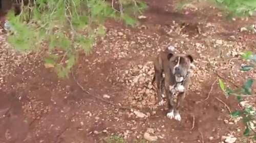 Ζάκυνθος: &quot;Να εγκαταλείψω εγώ το παιδί μου;&quot; - Ο πατέρας του 2χρονου απαντά στις επικρίσεις για αμέλεια