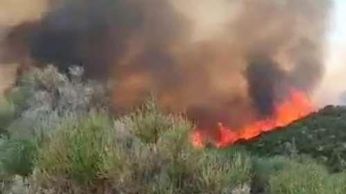 Ηλεία: Φωτιά σε αγροτοδασική έκταση στα Κρέστενα