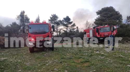 Φωτιά στη Ζάκυνθο: Σε εξέλιξη πυρκαγιά σε δασική έκταση στο χωριό του Κοιλιωμένου