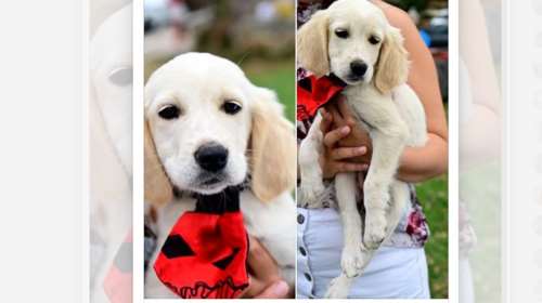 Η Ιόλη  είναι μόλις 2,5 μηνών: Μεταξύ μας; Εχετε δει ομορφότερο μωρό; Πείτε μας αλήθεια