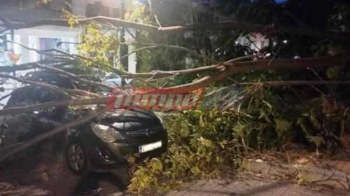 Πάτρα: Περίμενε το παιδί της από το φροντιστήριο και έπεσε πάνω της δέντρο - Τραυματίστηκε στο κεφάλι