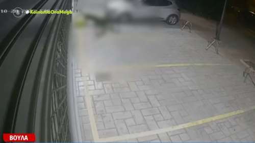 Σοκαριστικό περιστατικό στη Βούλα: Άφησε ανεξέλεγκτα τρία πίτμπουλ και κατασπάραξαν αδέσποτες γάτες [βίντεο]