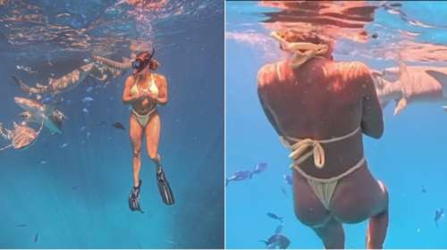 Η κορυφαία τενίστρια στον κόσμο, Αρίνα Σαμπαλένκα κολυμπά μαζί με καρχαρίες - Το κίτρινο μπικίνι [βίντεο]