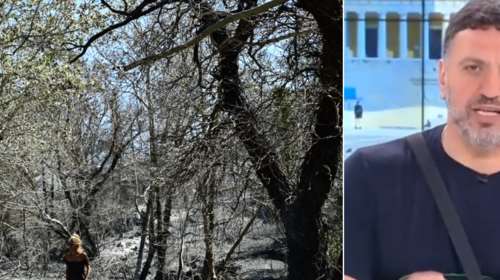 Κικίλιας: &quot;Φταίνε και τα πεύκα για τις φωτιές, είναι εύφλεκτα&quot;...λέει για την καταστροφή στη ΒΑ Αττική