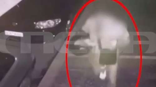 Φοινικούντα: Η στιγμή που ο φερόμενος εκτελεστής επιστρέφει στο σπίτι του στην Καλλιθέα  - Βίντεο ντοκουμέντο