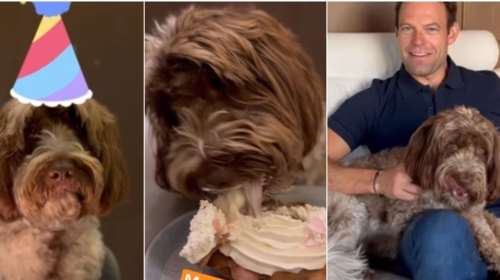 Στέφανος Κασσελάκης: Γιόρτασε τα γενέθλια της Φάρλι μαζί με τον Τάιλερ - Η τούρτα, τα κεράκια και η μουσική [βίντεο]