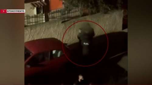 Άνω Λιόσια: Βίντεο ντοκουμέντο από την σύλληψη του 59χρονου – &quot;Όχι, δεν θέλω να με δέσετε...&quot;