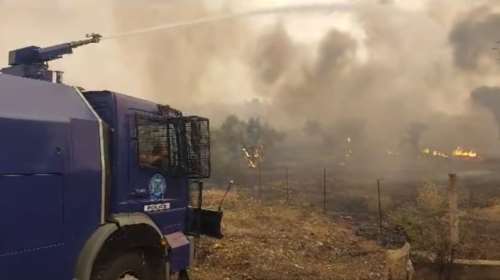 Φωτιά στη Μάνδρα: Στη μάχη με τις φλόγες και οι &quot;Αίαντες&quot; της αστυνομίας [βίντεο]
