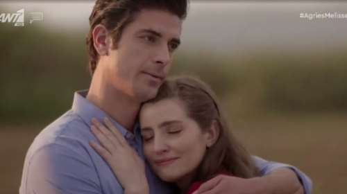 Άγριες Μέλισσες Spoiler: Η Ελένη ερωτεύεται άλλον - Το τρίτο πρόσωπο ανάμεσα σε Λενιώ και Λάμπρο