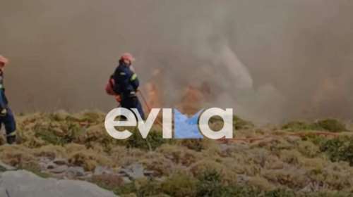 Φωτιά στην Κάρυστο: Ενισχύθηκαν οι δυνάμεις της Πυροσβεστικής - Επιχειρούν 8 εναέρια μέσα [Εικόνες - Βίντεο]