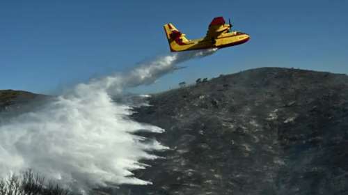 Φωτιά στη Στεφάνη Βοιωτίας: Σε εξέλιξη μεγάλη επιχείρηση κατάσβεσης