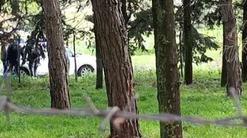 Δολοφονία στη Θεσσαλονίκη: Πυροβόλησαν με καραμπίνα στο κεφάλι την 50χρονη μέσα στο αυτοκίνητο