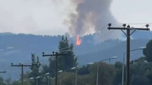 Υπό έλεγχο οι φωτιές σε Σάνη και Σιθωνία [βίντεο]