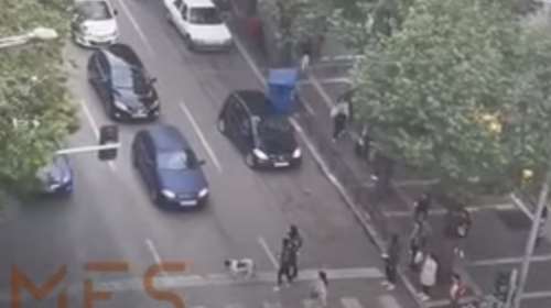 Συγκινητικό: Θεσσαλονικείς σταμάτησαν τα αυτοκίνητά τους για να περάσει σκύλος που κούτσαινε [βίντεο]