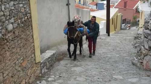 Ο δήμος Σύμης απέκτησε τον δικό του γαϊδαράκο: Ο Βαλαντάκος ανέλαβε καθήκοντα... μεταφορών