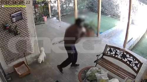 Μενίδι: Έκλεψαν σκύλο ράτσας Μαλτέζ μέρα μεσημέρι από αυλή σπιτιού [βίντεο]