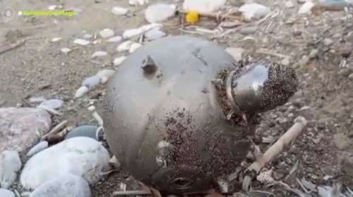 Ρόδος: Νάρκη από την Ουκρανία ξεβράστηκε στο νησί - Την εντόπισε χειμερινός κολυμβητής [βίντεο]