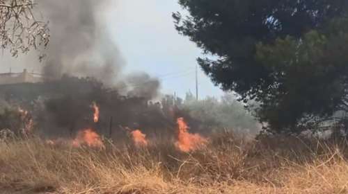 Μεγάλη φωτιά στα Μέγαρα: Απειλούνται σπίτια στη Ζάχουλη - Εξαπλώνεται το μέτωπο της πυρκαγιάς [Βίντεο]