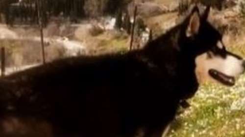 Νέος κύκλος καταθέσεων για τον 8χρονο Ολιβερ: Πού στρέφονται οι έρευνες για τη βάναυση κακοποίησή του