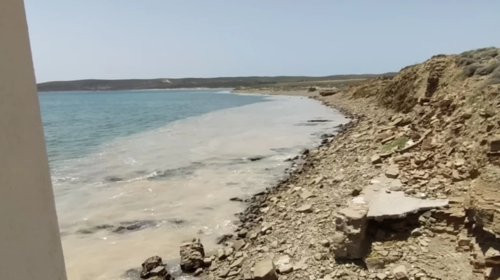 Αυτοψία στη Λήμνο για τη θαλάσσια βλέννα – Τι έδειξαν τα πρώτα ευρήματα