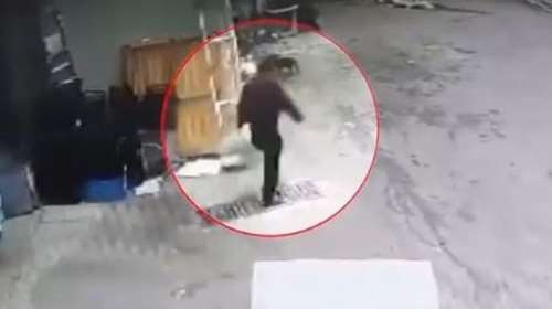 Βραυρώνα: Προφυλακίστηκαν οι γονείς που πέταξαν το μωρό τους στα σκουπίδια - &quot;Ηταν λάθος μου συγγνώμη&quot;