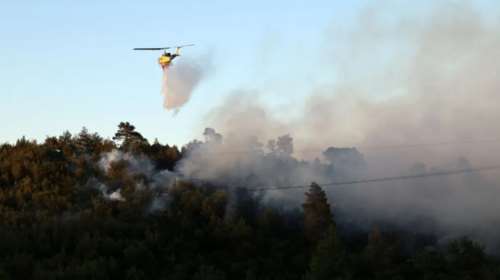 Φωτιά σε δάσος στην Αισύμη Έβρου - Επιχειρούν και εναέρια
