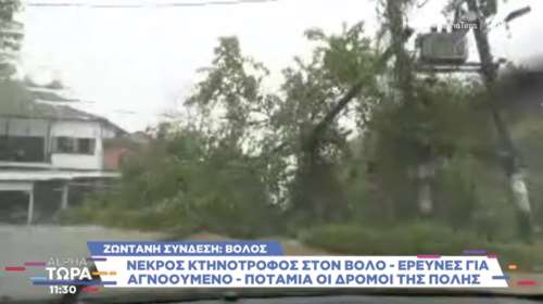 Κακοκαιρία Daniel: Εγκλωβίστηκε τηλεοπτικό συνεργείο του ALPHA στον Βόλο - &quot;Ανεβαίνει η στάθμη του νερού&quot; [βίντεο]