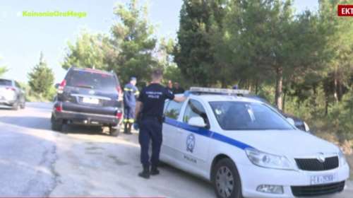 Θεσσαλονίκη: Υπό έλεγχο η φωτιά που εκδηλώθηκε στο Σέιχ Σου – Προσήχθη ύποπτος για εμπρησμό [βίντεο]