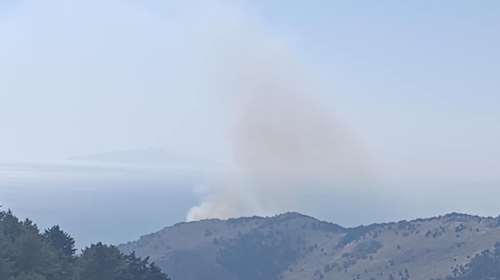 Σύμη: Φωτιά απέναντι από τη Μονή Πανορμίτη - Έσπευσαν εναέρια από τη Ρόδο