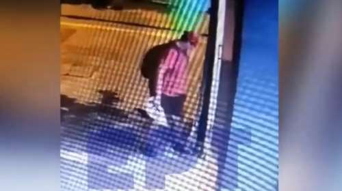 Θεσσαλονίκη: Ελεύθερος χωρίς περιοριστικούς όρους ο 40χρονος διδάκτορας που ποδοπάτησε μέχρι θανάτου γατάκι