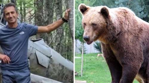 Δράμα: Οι ασάφειες του φίλου του 61χρονου ορειβάτη και το βίντεο με την επίθεση της αρκούδας - &quot;Πόνος, φωνές και μετά σιωπή&quot;