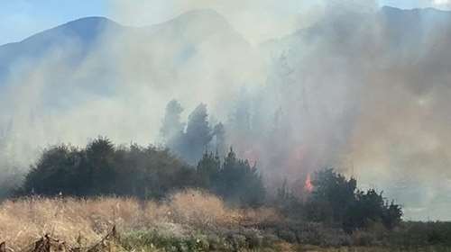 Πολλά και κρίσιμα τα μέτωπα στη φωτιά στο Πετρωτό Δομοκού - Μάχη με τις φλόγες και τους ανέμους