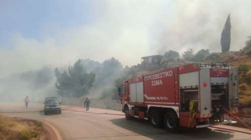 Mεγάλη φωτιά στη Βοιωτία: Ενα χλμ από το Δίστομο οι φλόγες - Πυροσβέστες και κάτοικοι παλεύουν να μην φτάσουν στα σπίτια