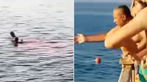 Αίγυπτος: Η σοκαριστική στιγμή που καρχαρίας κατασπάραξε 68χρονη γυναίκα μπροστά σε λουόμενους [Βίντεο]